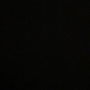 Meet your Posher, Mane